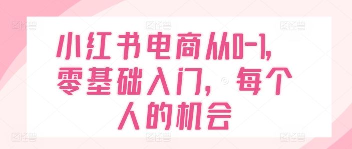 小红书电商从0-1，零基础入门，每个人的机会-聊项目