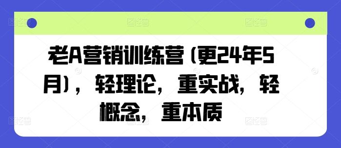 老A营销训练营(更24年7月)，轻理论，重实战，轻概念，重本质-聊项目