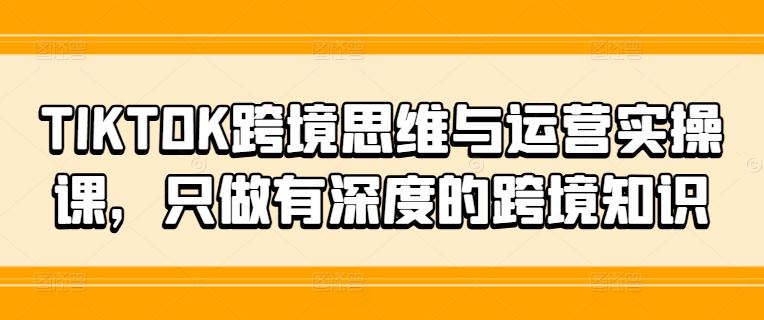 TIKTOK跨境思维与运营实操课,只做有深度的跨境知识-聊项目