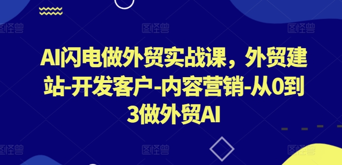 AI闪电做外贸实战课,外贸建站-开发客户-内容营销-从0到3做外贸AI(更新)-聊项目