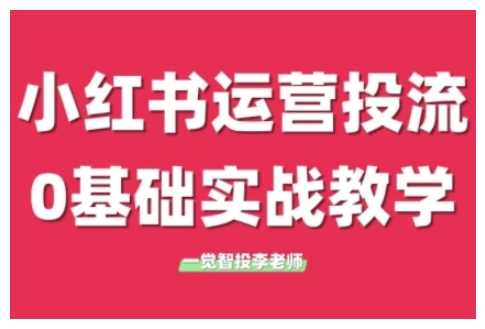 小红书运营投流,小红书广告投放从0到1的实战课,学完即可开始投放-聊项目