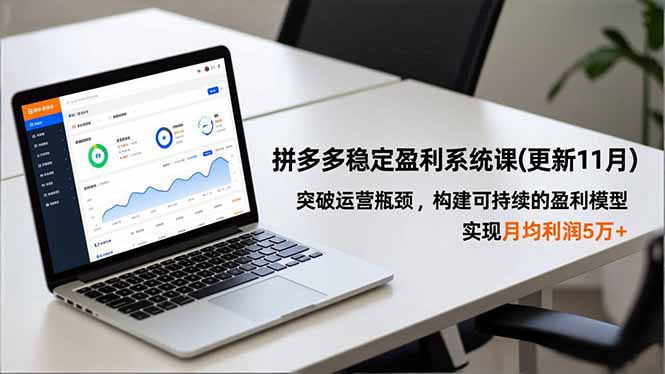 拼多多稳定盈利系统课(更新11月-聊项目