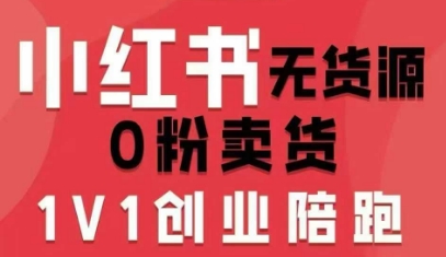 小红书无货源0粉电商课，开店准备、选品策略、笔记撰写、视频剪辑、数据分析、账号打造、资料文档(更新)-聊项目