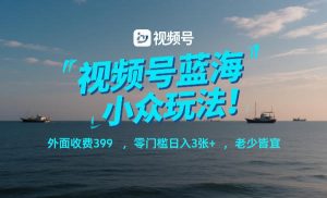 视频号蓝海小众玩法！外面收费399，零门槛日入3张+，老少皆宜-聊项目