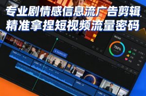 专业剧情感信息流广告剪辑，精准拿捏短视频流量密码-聊项目