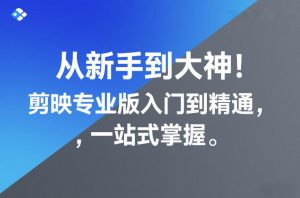 从新手到大神!剪映专业版入门到精通,一站式掌握-聊项目