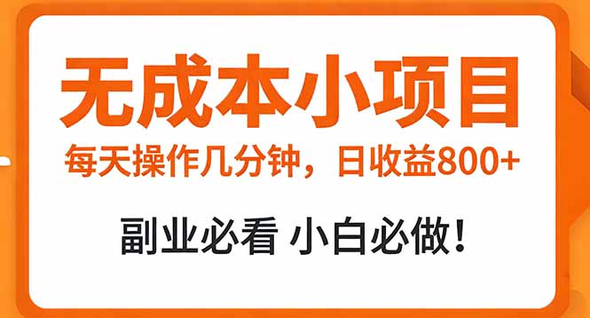 无成本小项目 每天操作几分钟，真实日收益800+ 副业必看 小白必做！-聊项目