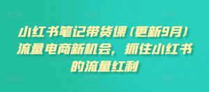 小红书笔记带货课，流量电商新机会，抓住小红书的流量红利(更新26年2月)-聊项目