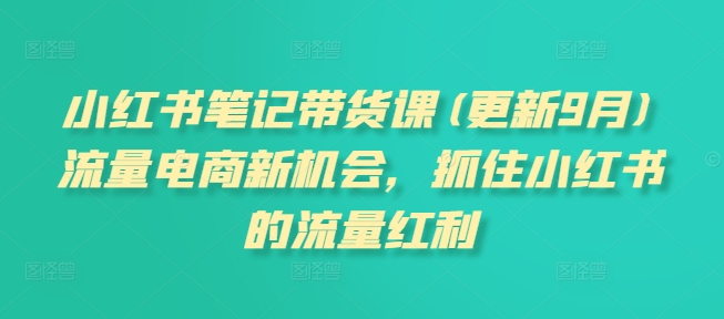 小红书笔记带货课，流量电商新机会，抓住小红书的流量红利(更新26年2月)-聊项目
