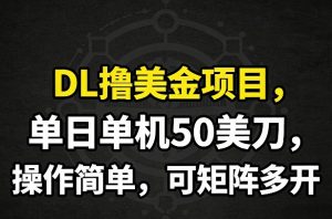 DL撸美金项目,单日单机50美刀,操作简单,可矩阵多开-聊项目