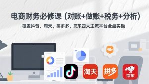 电商财务必修课(对账+做账+税务+分析-聊项目