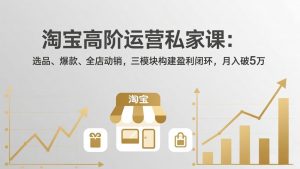 淘宝高阶运营私家课:选品、爆款、全店动销,三模块构建盈利闭环,月入破5万(更新26年2月-聊项目