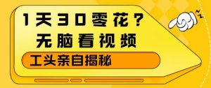 1天30零花？无脑看视频，大佬亲自揭秘-聊项目