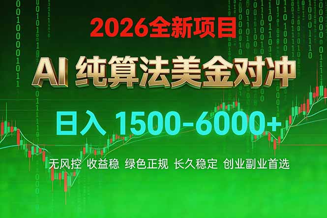 2026 全新美金对冲项目，不套平台赠金，不封号，纯算法对冲，日入 1500-6000+-聊项目