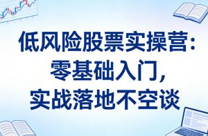 低风险股票实操营：零基础入门，实战落地不空谈-聊项目