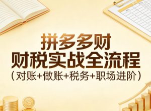 拼多多财税实战全流程(对账+做账+税务+职场进阶)-聊项目