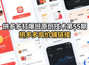 拼多多打爆班原创技术第55期，拼多多高价铺链接-聊项目