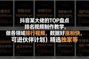 抖音某大佬的TOP盘点排名视频制作，做各领域排行视频，数据好涨粉快，可进伙伴计划＋精选独家等-聊项目