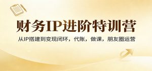 财务IP进阶特训营:从IP搭建到变现闭环,代账,做课,朋友圈运营-聊项目