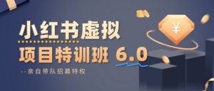 小红书虚拟项目特训课8.0，帮你从0到1打造稳定盈利的店铺，抓住流量红利(更新3月)-聊项目