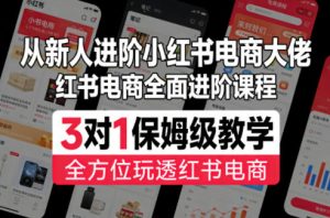 从新人进阶小红书电商大佬，红书电商全面进阶课程，3对1保姆级教学，全方位玩透红书电商-聊项目