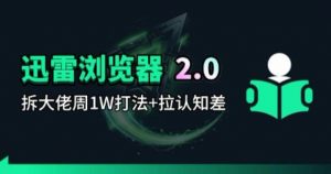 迅雷浏览器项目2.0_拆个大佬周1W的打法-聊项目