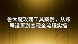 引流创业粉卖软件教学:鲁大魔玫瑰工具案例,从账号设置到变现全流程实操-聊项目