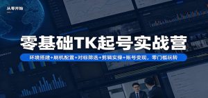 零基础TK起号实战营:环境搭建+ 刷机配置+对标筛选+剪辑实操+账号变现,零门槛玩转-聊项目