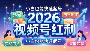 2026视频号红利实战营,大佬亲授起号、内容、直播、IP、投流、私域、矩阵全套落地打法-聊项目