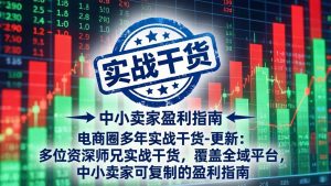 电商圈多年实战干货-更新4月27：多位资深师兄实战干货/覆盖全域平台，中小卖家可复制的盈利指南-聊项目