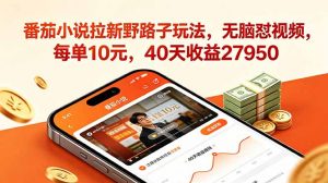 番茄小说拉新野路子玩法，无脑怼视频，每单10元，40天收益27950-聊项目