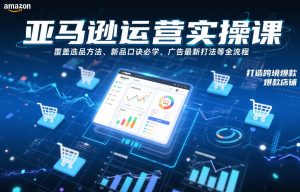 亚马逊运营实操课，覆盖选品方法、新品口诀必学、广告最新打法等全流程，打造跨境爆款店铺(更新6月)-聊项目