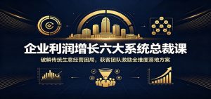 企业利润增长六大系统总裁课：破解传统生意经营困局，获客团队激励全维度落地方案-聊项目