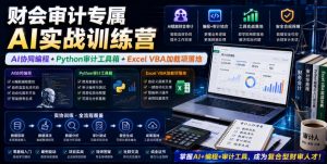 财会审计专属AI实战训练营｜AI协同编程+Python审计工具箱+Excel VBA加载项落地(更新0710)-聊项目