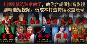 电视剧精选独家教学,教你合规做抖音影视剧精选短视频,低成本打造持续收益账号-聊项目