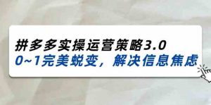 2024-2025拼多多实操运营策略3.0，0~1完美蜕变，解决信息焦虑（38节）-聊项目