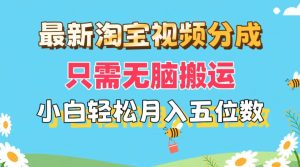 （11744期）最新淘宝视频分成，只需无脑搬运，小白也能轻松月入五位数，可矩阵批量…-聊项目