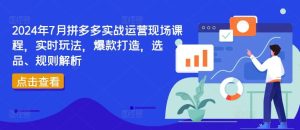 2024年7月拼多多实战运营现场课程,实时玩法,爆款打造,选品、规则解析-聊项目