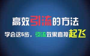 高效引流的方法,可以帮助你日引300+创业粉,一年轻松收入30万,比打工强太多!-聊项目