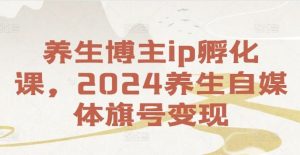 养生博主ip孵化课,2024养生自媒体旗号变现-聊项目