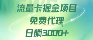 (12321期)流量卡掘金代理,日躺赚3000+,变现暴力,多种推广途径-聊项目