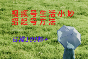 视频号生活小妙招分享赛道， 起号涨粉新方法，日涨100粉-聊项目