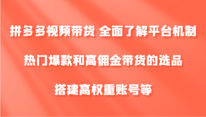 拼多多视频带货 全面了解平台机制、热门爆款和高佣金带货的选品,搭建高权重账号等-聊项目
