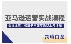 亚马逊运营实战课程,亚马逊从入门到精通,性价比高,相当于市面万元以上元课程-聊项目