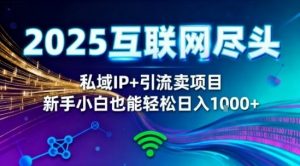 2025网创尽头王炸项目！私域IP+精准引流，新手小白在家躺賺日入1k，零经验也能上手【揭秘】-聊项目