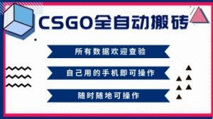 CSGO全自动搬砖,年底钱回家好项目,当天可拿到结果,新手小白轻松月入1W+【揭秘】-聊项目