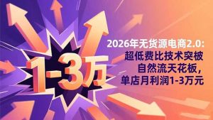 2026年无货源电商2.0：超低费比技术突破自然流天花板，单店月利润1-3万元-聊项目