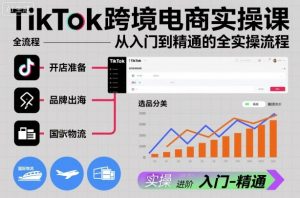 TikTok跨境电商实操课,从入门到精通的全实操流程-聊项目