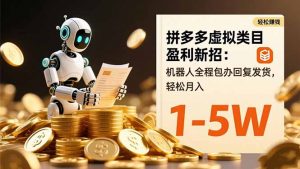 拼多多虚拟类目盈利新招:机器人全程包办回复发货,轻松月入 1-5W-聊项目