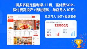 拼多多稳定盈利课-11月，强付费SOP+微付费高投产+活动矩阵，单店月入10w+-聊项目